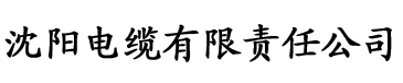 草莓香蕉视频污电缆厂logo